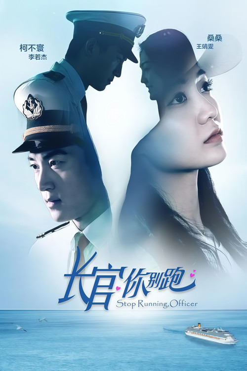 Póster de 长官你别跑