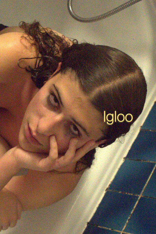 Póster de Igloo