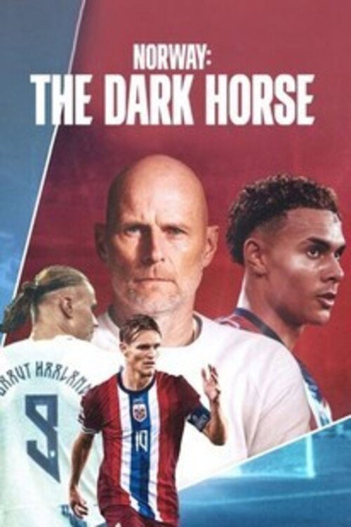 Póster de Norges vei tilbake