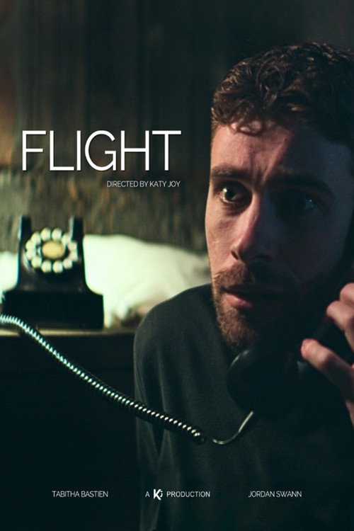 Póster de Flight