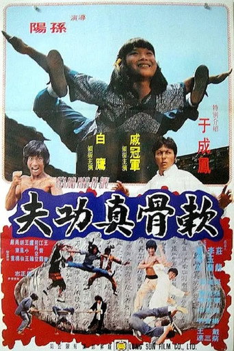 Póster de 软骨真功夫