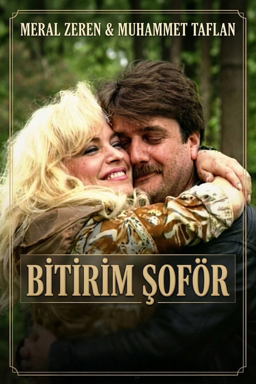 Póster de Bitirim Şoför