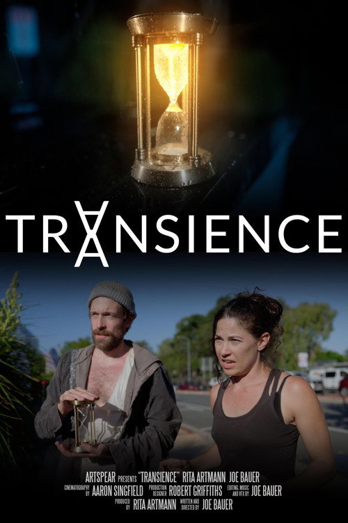 Póster de Transience
