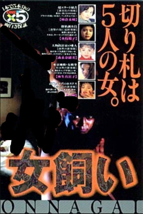 Póster de The Woman Tamer