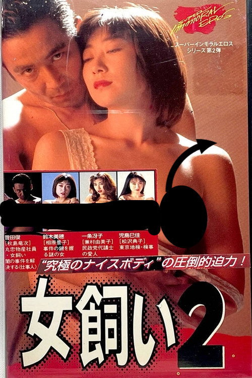 Póster de The Woman Tamer 2