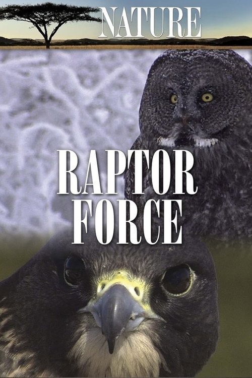 Póster de Raptor Force