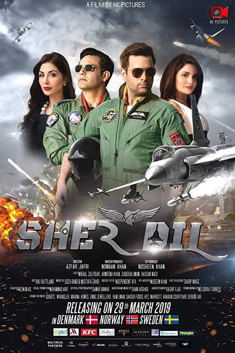 Póster de Sherdil