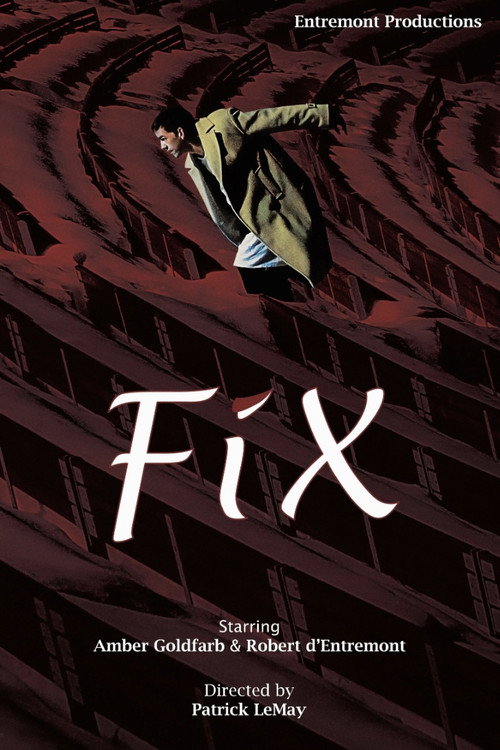 Póster de Fix