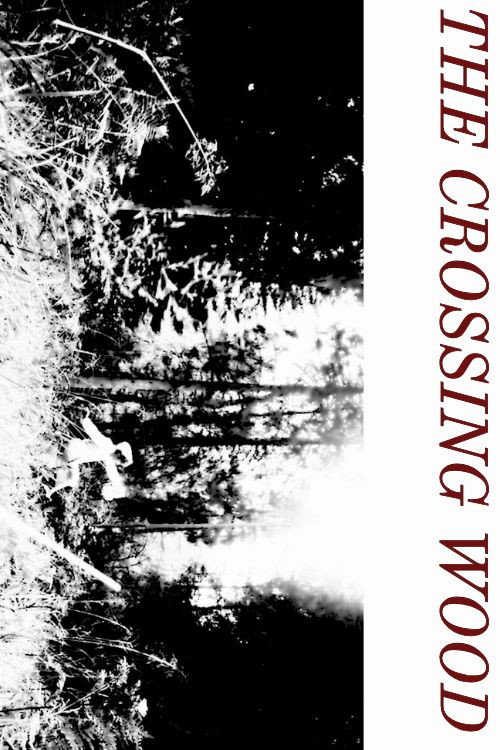 Póster de The Crossing Wood