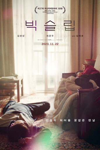 Póster de Big Sleep