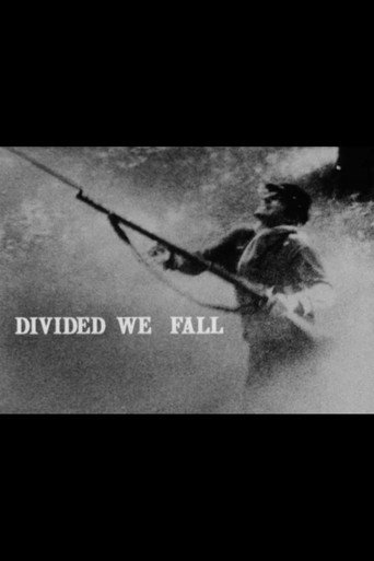 Póster de Divided We Fall