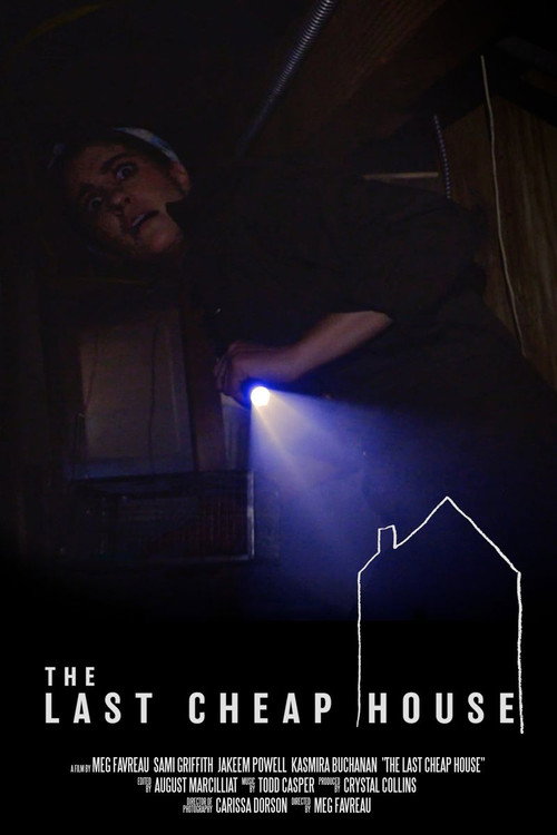Póster de The Last Cheap House