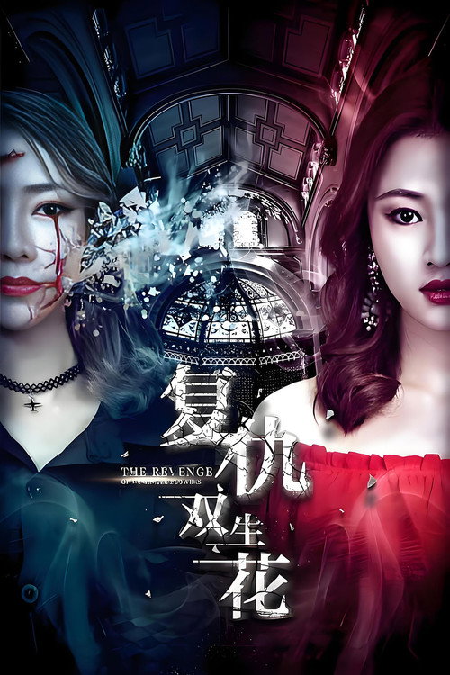 Póster de 复仇双生花