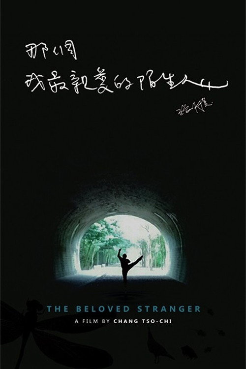 Póster de 那個我最親愛的陌生人