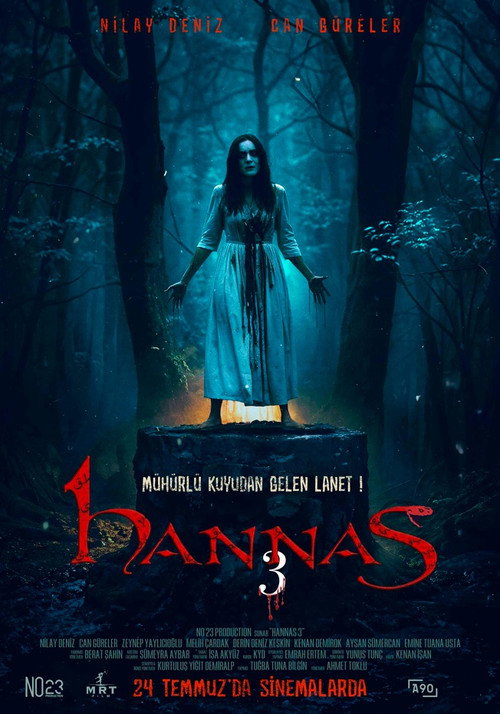Póster de Hannas 3