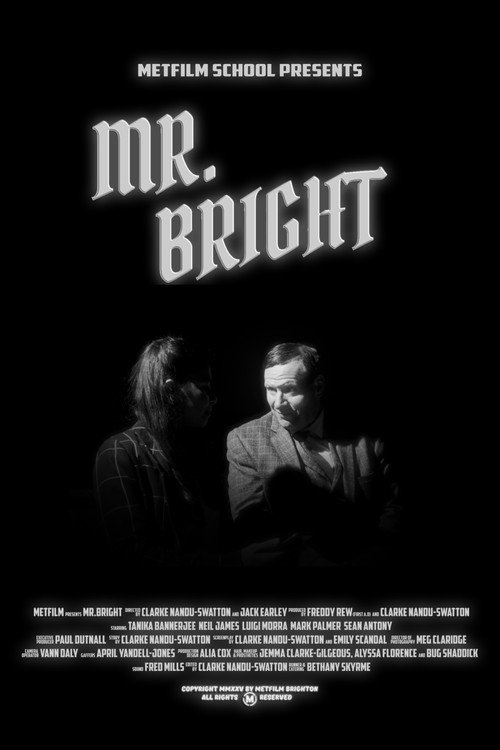 Póster de Mr. Bright