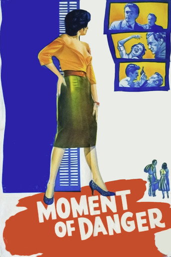 Póster de Moment of Danger
