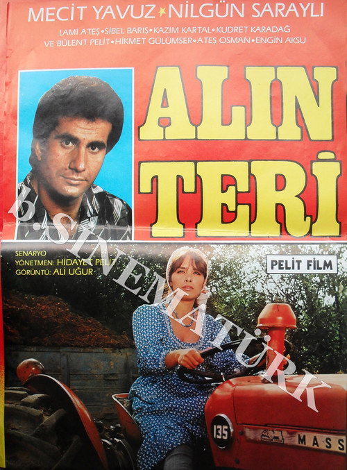Póster de Alın Teri