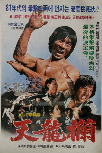 Póster de 천용란