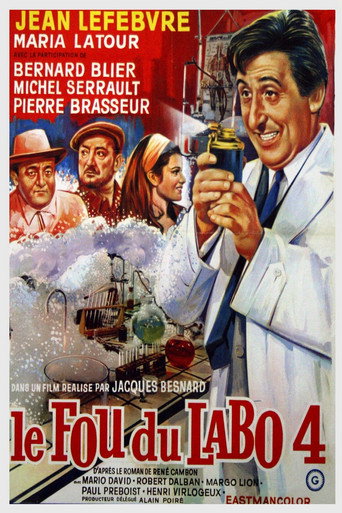 Póster de Le Fou du labo 4