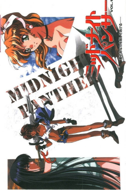 Póster de Midnight Panther