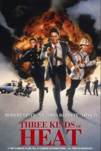 Póster de Three Kinds of Heat