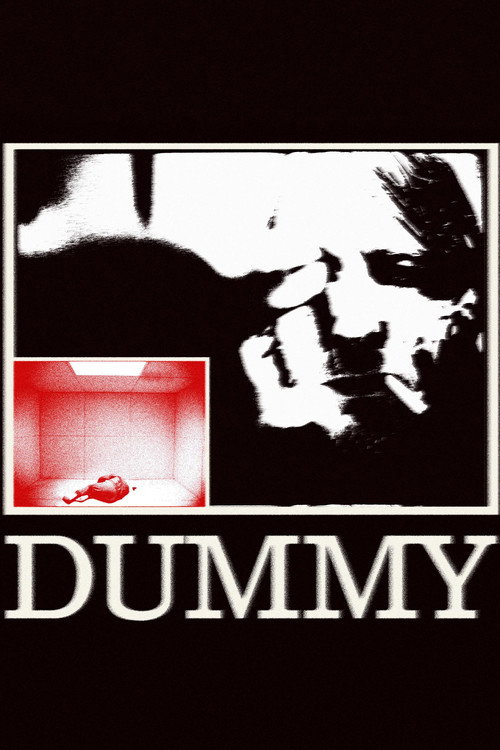 Póster de Dummy