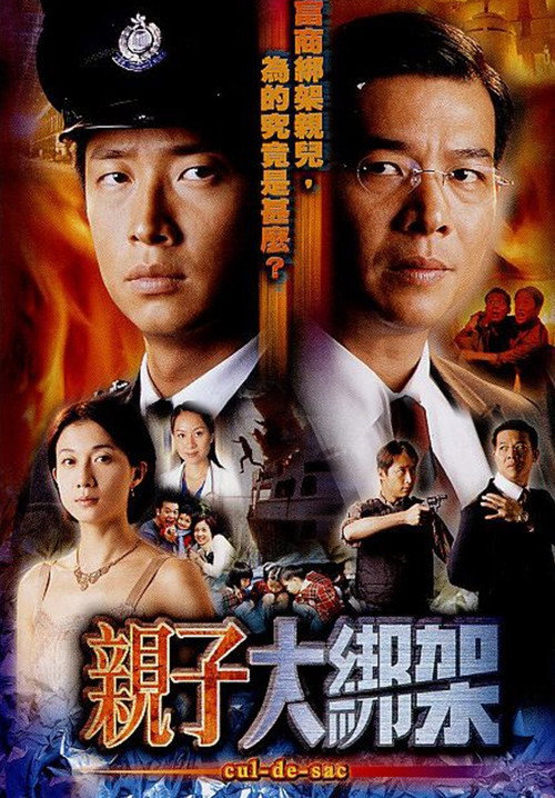 Póster de 親子大綁架