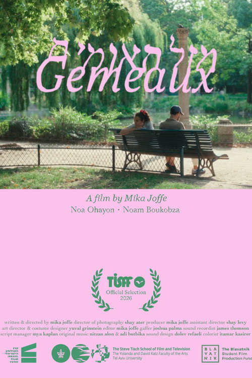 Póster de Gémeaux