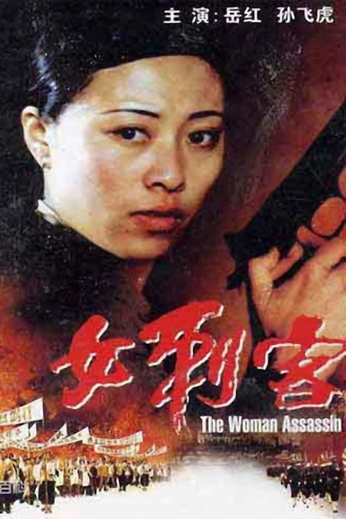 Póster de 女刺客