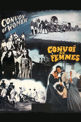 Póster de Convoi de femmes