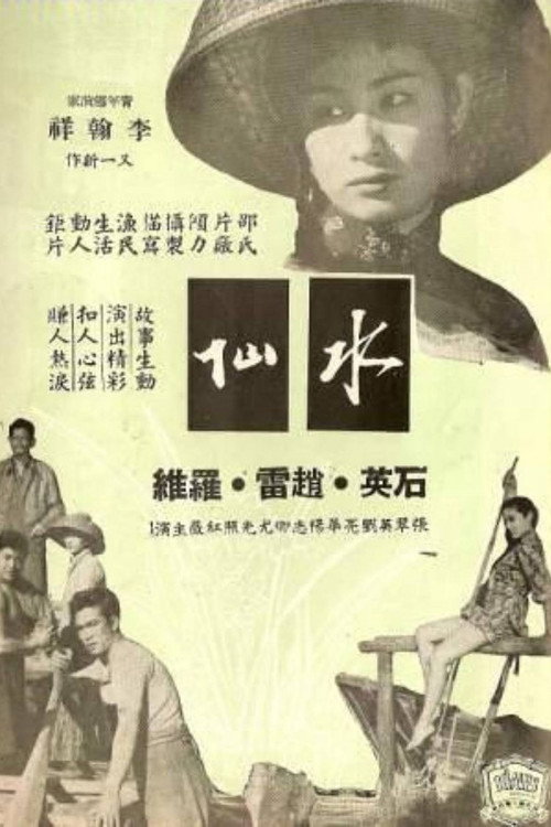 Póster de 水仙
