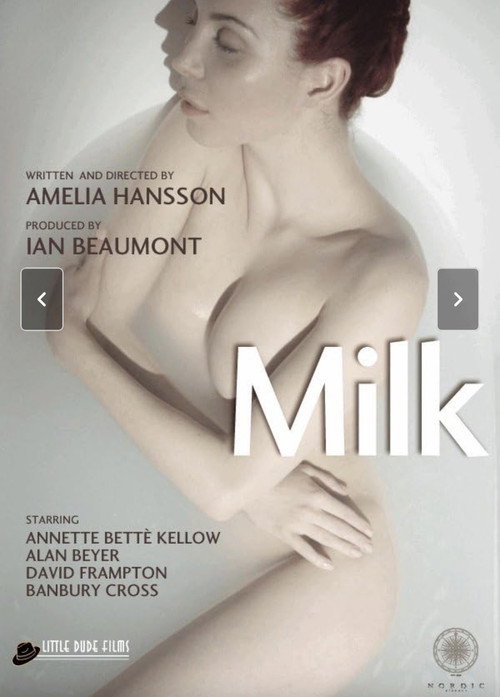 Póster de Milk