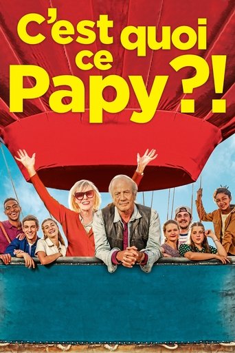 Póster de C'est quoi ce papy ?!