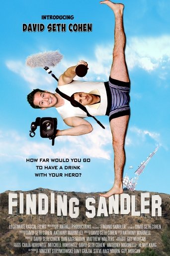 Póster de Finding Sandler