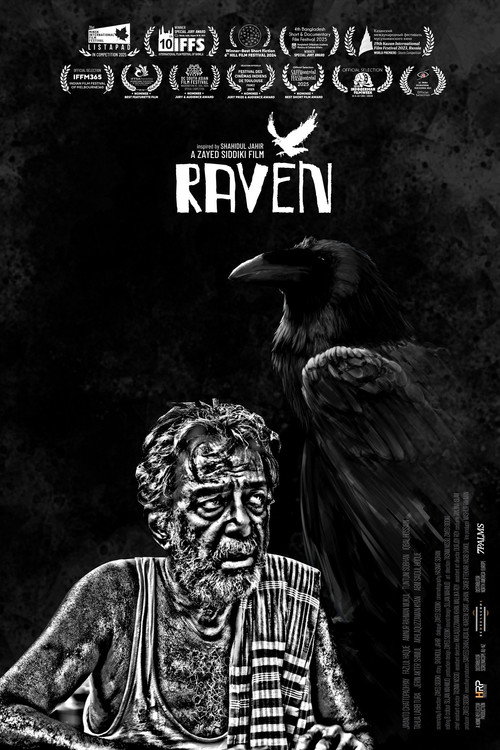 Póster de Raven