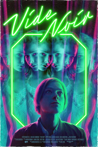 Póster de Vide Noir