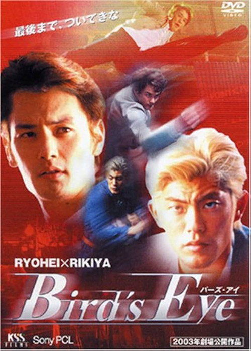Póster de BIRD'S EYE
