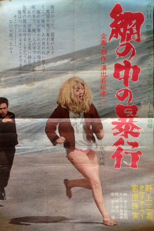 Póster de 網の中の暴行