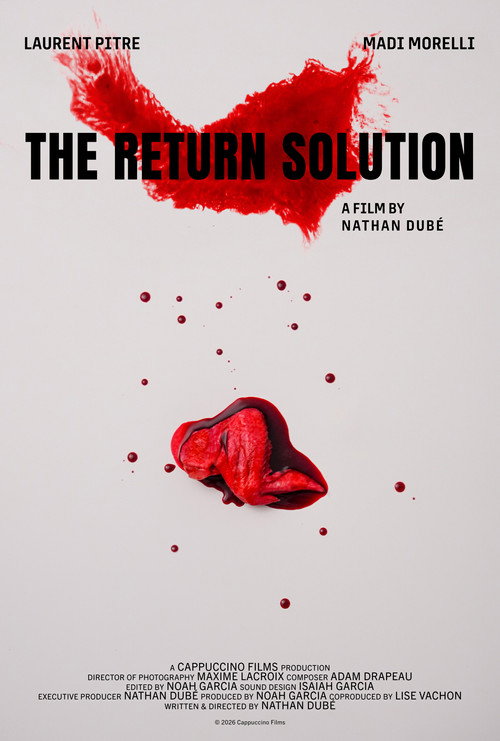 Póster de The Return Solution