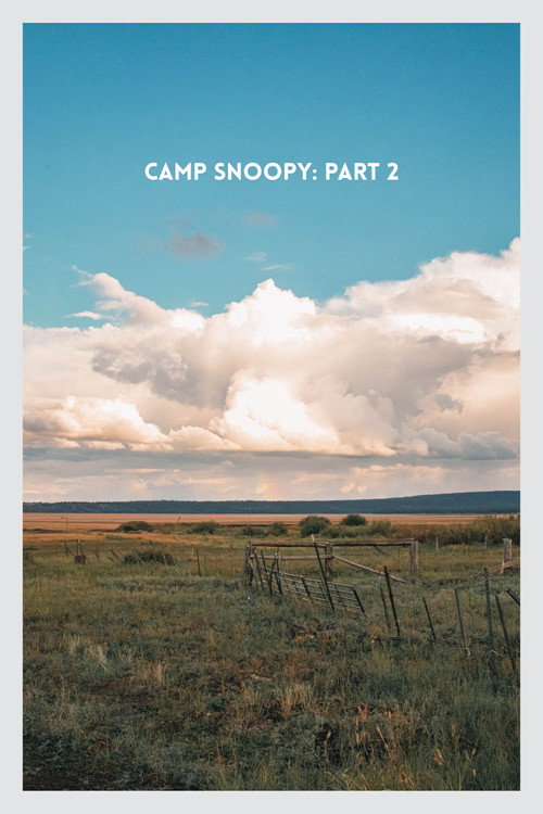 Póster de Camp Snoopy: Part 2