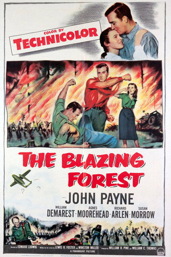 Póster de The Blazing Forest