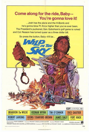 Póster de Wild in the Sky
