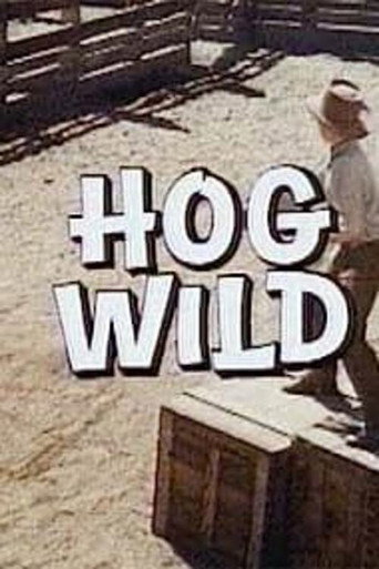 Póster de Hog Wild