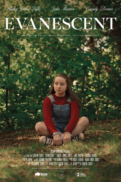 Póster de Evanescent