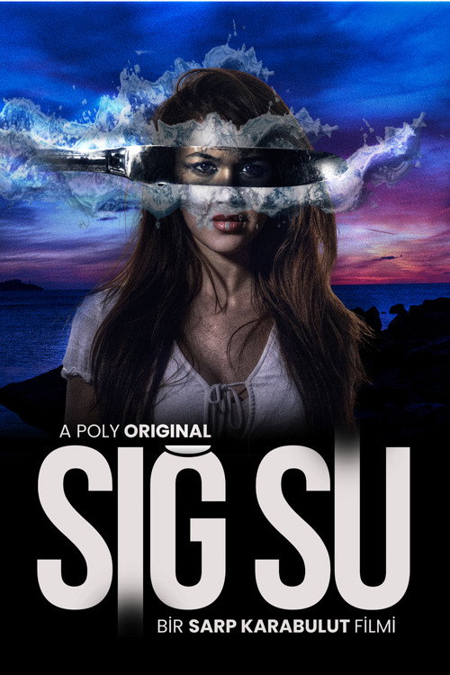 Póster de Shallow Water