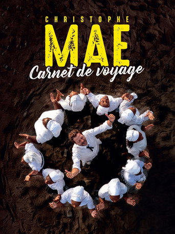 Póster de Christophe Maé - Carnet de voyage