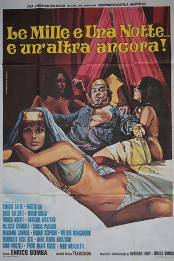 Póster de Le mille e una notte... e un'altra ancora!