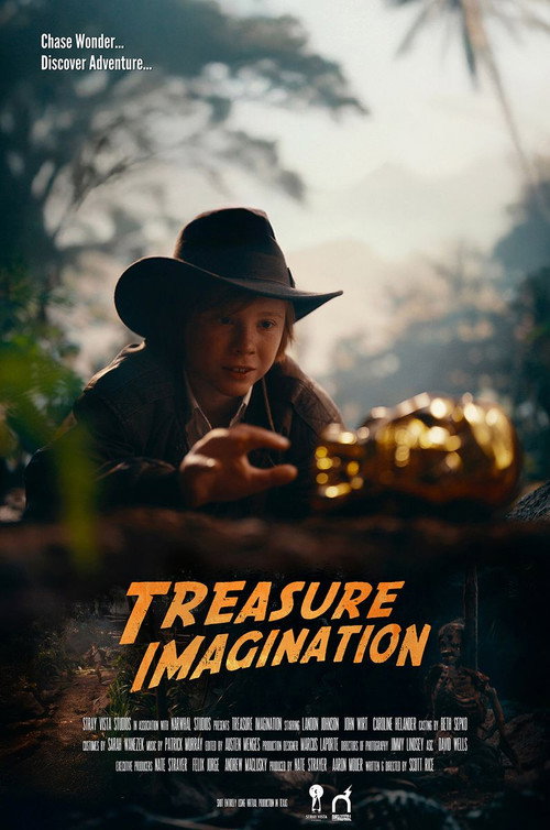 Póster de Treasure Imagination