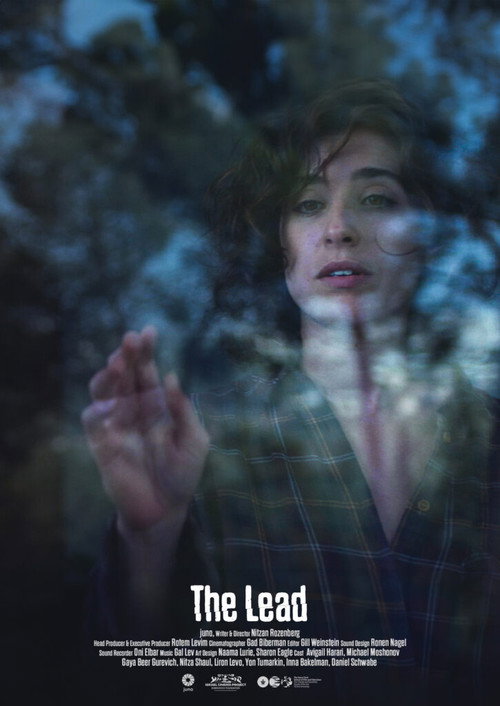 Póster de The Lead